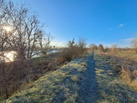 Le Franc Bord de Bougerot